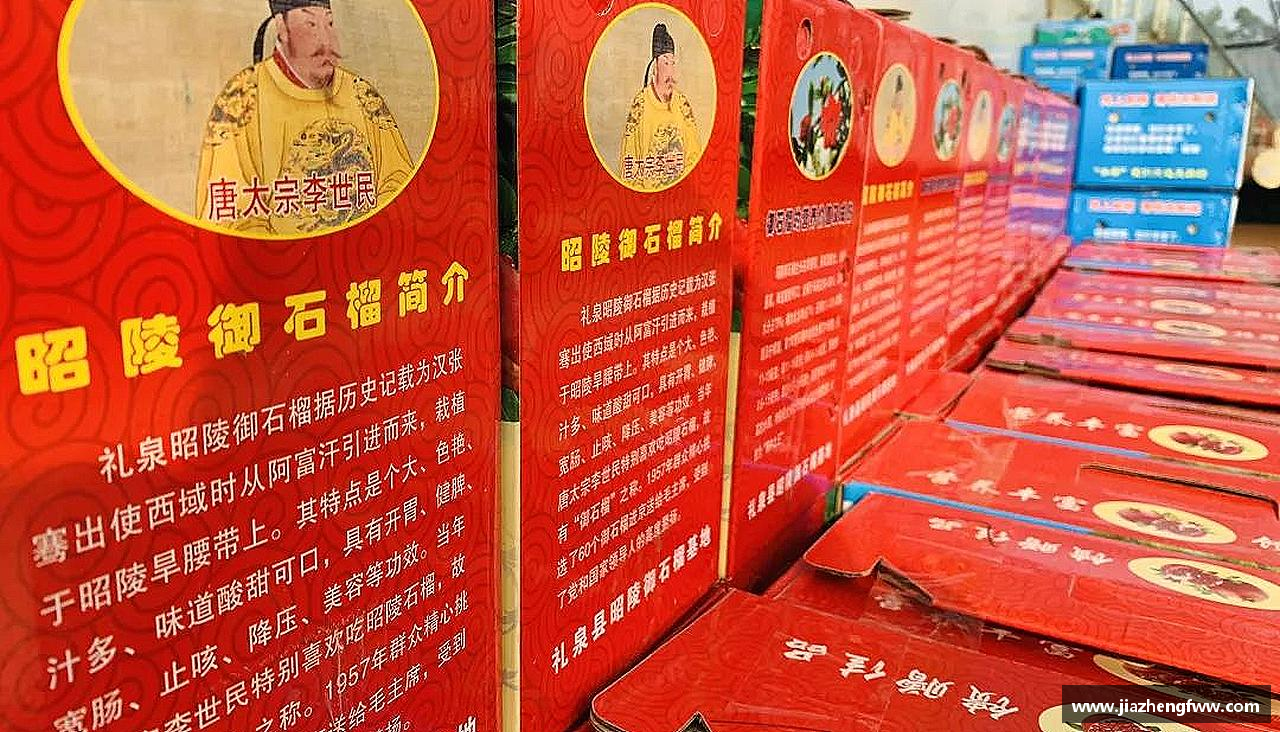 球盟会官方网站拥抱青春，释放活力！